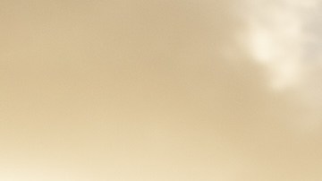 Courtesy of talent management.