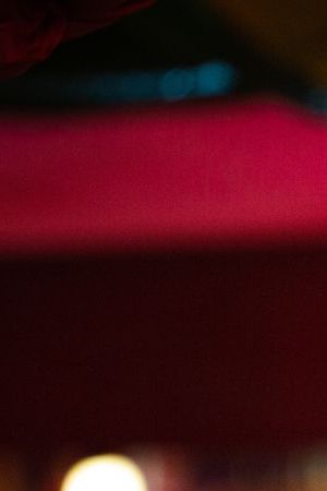 Emilia Perez. Karla Sofía Gascón as Emilia Perez in Emilia Perez. Cr. Shanna Besson/Pathé © 2024.