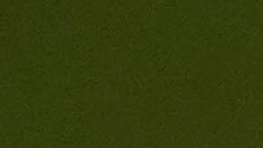 SANTO DOMINGO, DR - MARCH 10:  El Alfa looks on from the dugout during batting practice prior to the game between the Tampa Bay Rays and the Boston Red Sox at Estadio Quisqueya on Sunday, March 10, 2024 in Santo Domingo, Dominican Republic. (Photo by Mary DeCicco/MLB Photos via Getty Images)