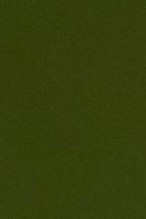 SANTO DOMINGO, DR - MARCH 10:  El Alfa looks on from the dugout during batting practice prior to the game between the Tampa Bay Rays and the Boston Red Sox at Estadio Quisqueya on Sunday, March 10, 2024 in Santo Domingo, Dominican Republic. (Photo by Mary DeCicco/MLB Photos via Getty Images)