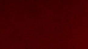 Tour Edición Limitada MS