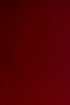 Tour Edición Limitada MS