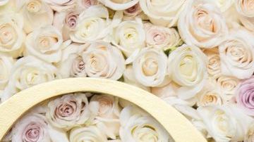 Sofia Vergara during the 82nd Annual Golden Globes held at The Beverly Hilton on January 05, 2025 in Beverly Hills, California. (Photo by John Nacion/GG2025/Penske Media via Getty Images)