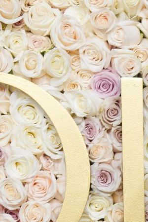 Sofia Vergara during the 82nd Annual Golden Globes held at The Beverly Hilton on January 05, 2025 in Beverly Hills, California. (Photo by John Nacion/GG2025/Penske Media via Getty Images)