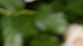 BEVERLY HILLS, CALIFORNIA - JANUARY 05: Zoe Saldana attends the 82nd Annual Golden Globe Awards at The Beverly Hilton on January 05, 2025 in Beverly Hills, California. (Photo by Matt Winkelmeyer/WireImage)