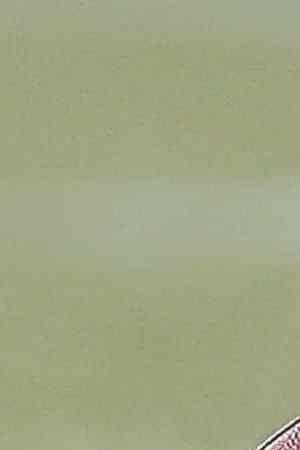 ORLANDO, FL - JANUARY 28: A general view of the "Duke" Wilson Official NFL football at mid-field with the NFL Pro Bowl Logo on it during the game at Camping World Stadium on January 28, 2018 in Orlando, Florida. The AFC defeated the NFC 24 to 23. (Photo by Don Juan Moore/Getty Images)