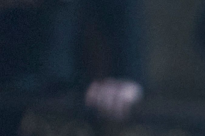 Photo Credit: Ken Woroner / Netflix