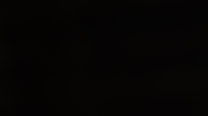 Neton Vega_