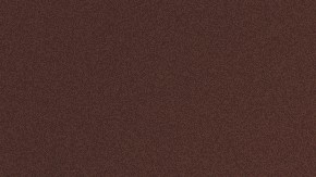 Zoe Saldaña, Fernanda Torres, and Colman Domingo for collage about 2025 Oscar nominations