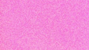 February Tarot art collage