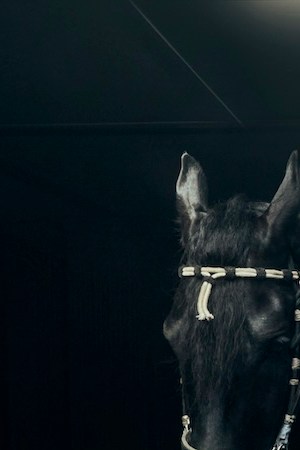 Natanael Cano_Threat