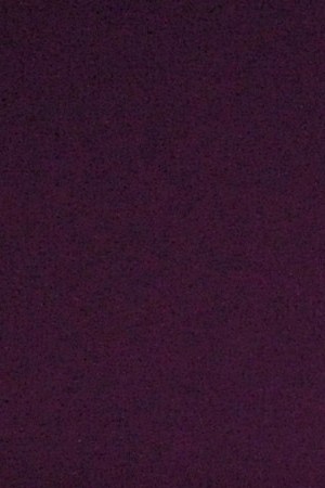 FILE - Paquita La Del Barrio performs at the 14th Annual Latin Grammy Awards at the Mandalay Bay Hotel and Casino, Nov. 21, 2013, in Las Vegas. (Photo by Chris Pizzello/Invision/AP), File