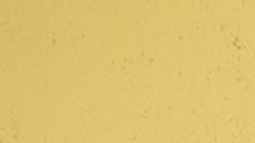 Description: CULVER CITY, CALIFORNIA - DECEMBER 13: Alan Ritchson attends the red carpet and fan screening for Prime Video's Reacher Season Two at Culver Theater on December 13, 2023 in Culver City, California. (Photo by Randy Shropshire/Getty Images for Prime Video)