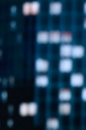 Bad Bunny at SNL50 concert_'NUEVAYoL'