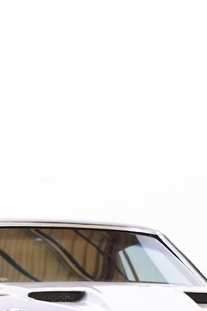 Netón Vega_'Mi Vida Mi Muerte'