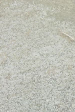 Giannina Gibelli and Blake Horstmann with their son Heath