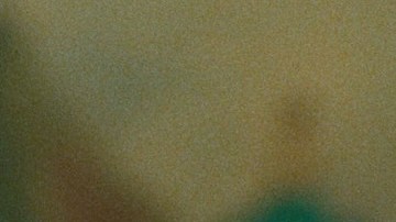 Fernanda Torres in I'm Still Here