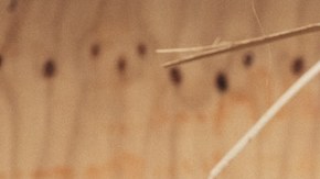 Bad Bunny_‘TURiSTA’