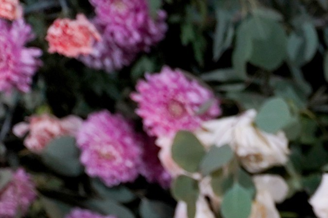 Sara Corrales for La Jefa