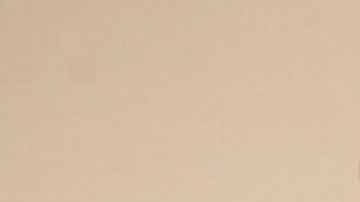 Zoe Saldana poses in the press room with the award for outstanding performance by a female actor in a supporting role in a motion picture for "Emilia Perez" during the 31st annual Screen Actors Guild Awards on Sunday, Feb. 23, 2025, at the Shrine Auditorium in Los Angeles. (Photo by Jordan Strauss/Invision/AP)