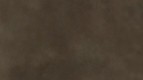 NBCUNIVERSAL EVENTS -- Press Tour, July 2024 -- NBCU Portrait Studio -- Pictured: Debby Wolfe, “Lopez vs Lopez” NBC -- (Photo by: JSquared Photography/NBCUniversal)