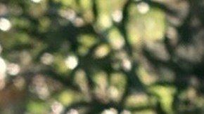 header-alejandra-hinojosa