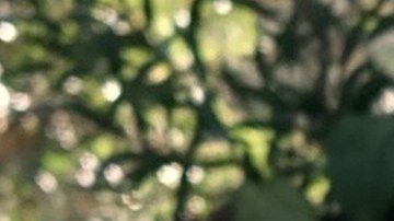 header-alejandra-hinojosa