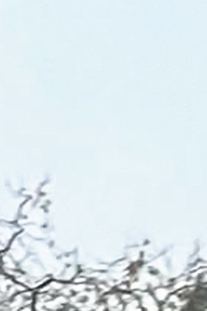 Macario Martínez_Sueña Lindo