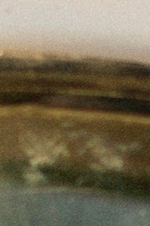 Fernanda Torres I'm Still Here