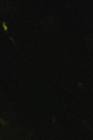 Maná_'Vivir Sin Aire Tour’