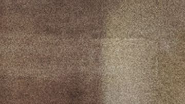 Willy Chavarria at Paris Fashion Week