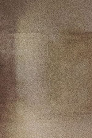 Willy Chavarria at Paris Fashion Week