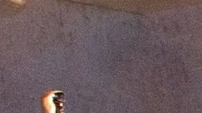 Sterling K. Brown and Ana de Armas at 2025 rehearsal for oscars