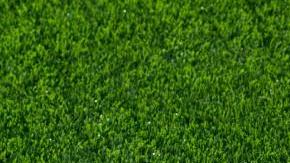 Black and white soccer and football ball in the field. Horizontal sport theme poster, greeting cards, headers, website and app