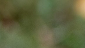 header-cynthia-fuentes