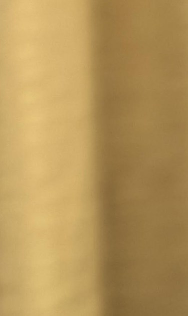 header-diana-dotel