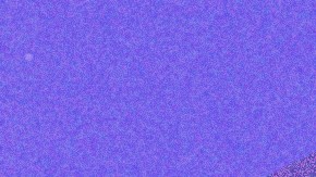 Lunar Eclipse in Virgo art