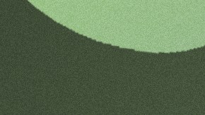 Natanael-Los Tucanes de Tijuana-