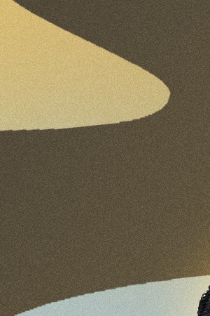 Los Tigres Del Norte_