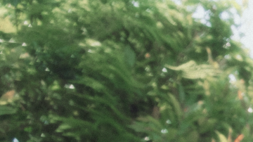 The Warning is coming back to the U.S. to perform their newest album,