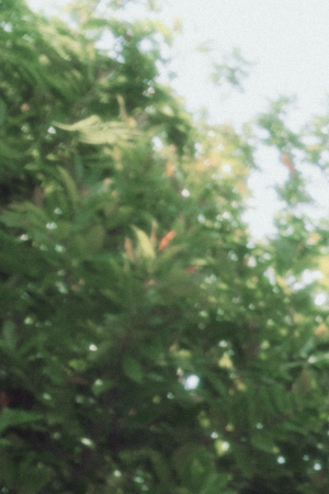 The Warning is coming back to the U.S. to perform their newest album,