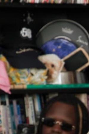 Bad Bunny Tiny Desk concert