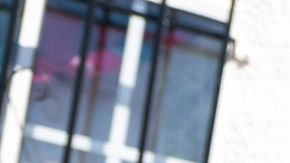 Kids of Immigrants and CHIRLA collab