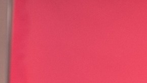 Omar Courtz_Primera Musa