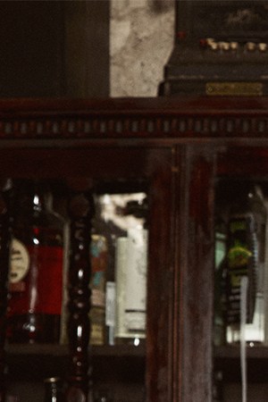 Alicia Villarreal_'Donde Todo Comenzó