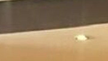 antonio espaillat_Jet Set