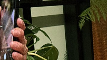 Photo courtesy of Apple.