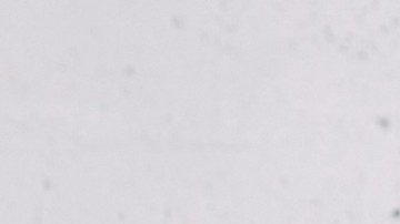 1000438770