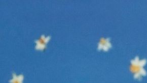 Bad Bunny attends The Metropolitan Museum of Art's Costume Institute benefit gala celebrating the opening of the "Superfine: Tailoring Black Style" exhibition on Monday, May 5, 2025, in New York. (Photo by Evan Agostini/Invision/AP)