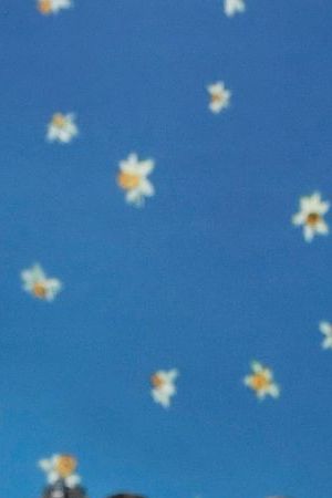 Bad Bunny attends The Metropolitan Museum of Art's Costume Institute benefit gala celebrating the opening of the "Superfine: Tailoring Black Style" exhibition on Monday, May 5, 2025, in New York. (Photo by Evan Agostini/Invision/AP)